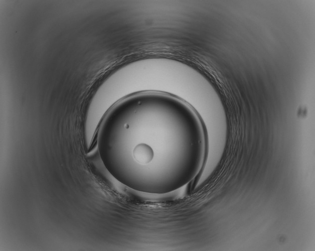 X0000097830411200803281205