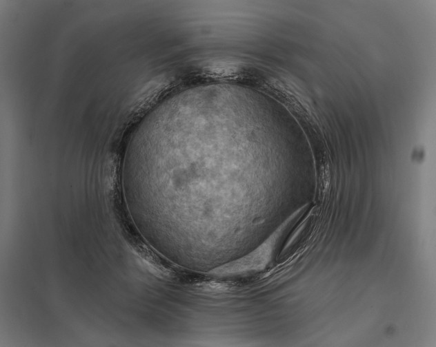 X0000097830412200803281205