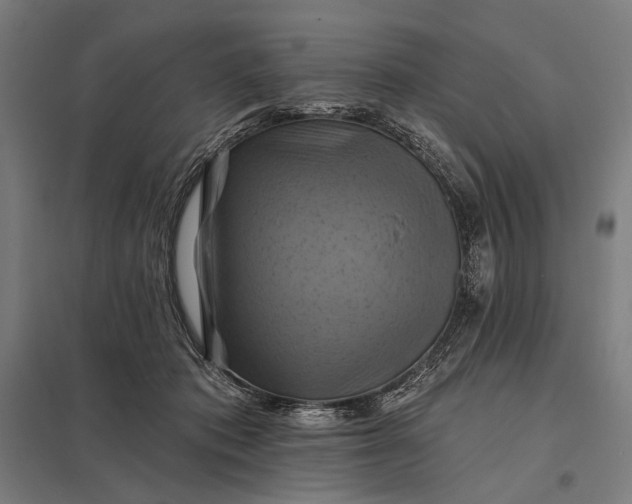 X0000097830413200803281205