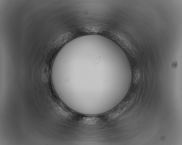 X0000097830414200803281205