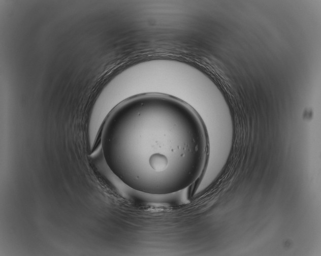 X0000097830415200803281205