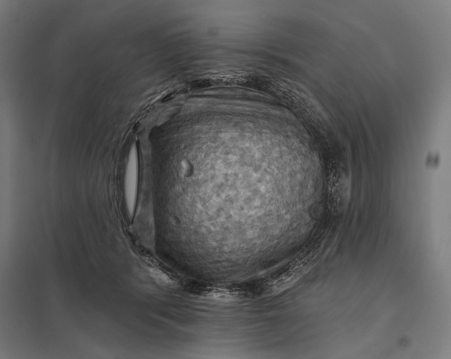 X0000097830416200803281205