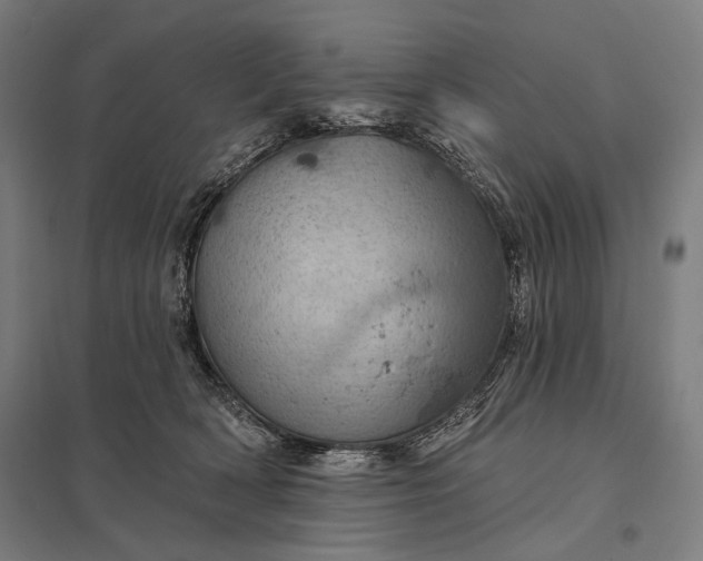 X0000097830418200803281205