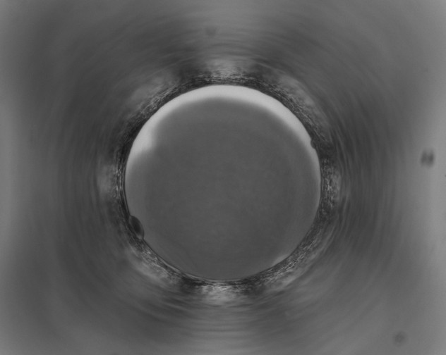 X0000097830419200803281205