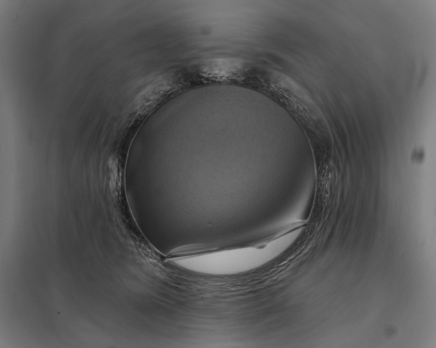 X0000097830420200803281205