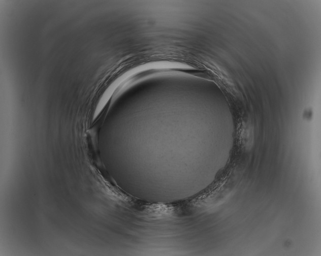 X0000097830421200803281205