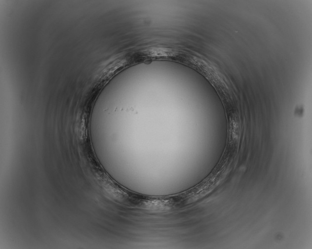 X0000097830422200803281205