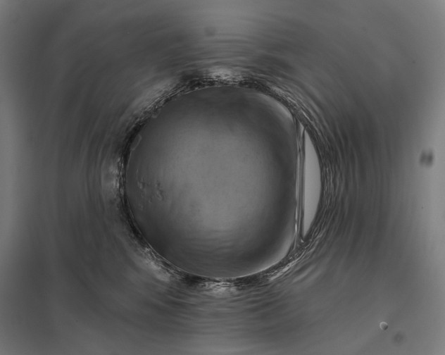 X0000097830424200803281205