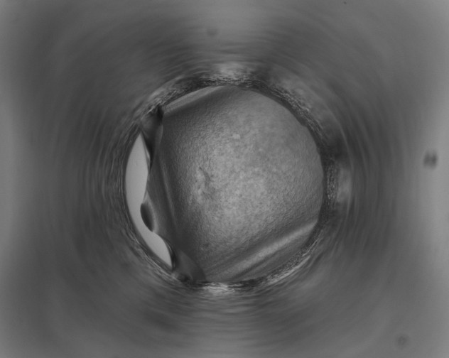 X0000097830425200803281205