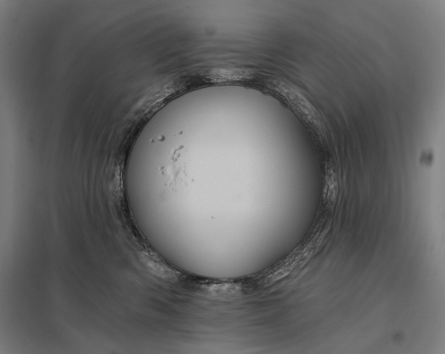 X0000097830426200803281205