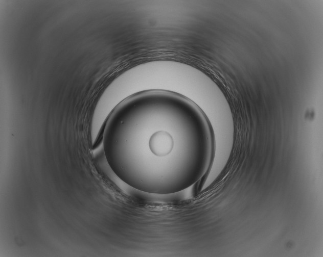 X0000097830427200803281205