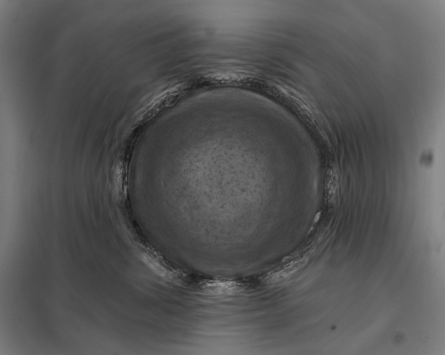 X0000097830428200803281204