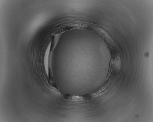 X0000097830429200803281204