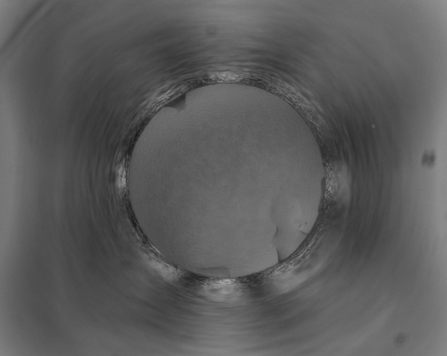 X0000097830431200803281204