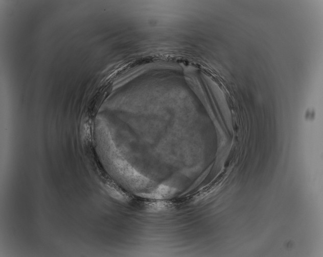 X0000097830432200803281204