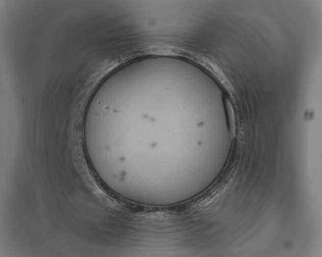 X0000097830433200803281204