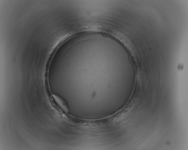 X0000097830434200803281204