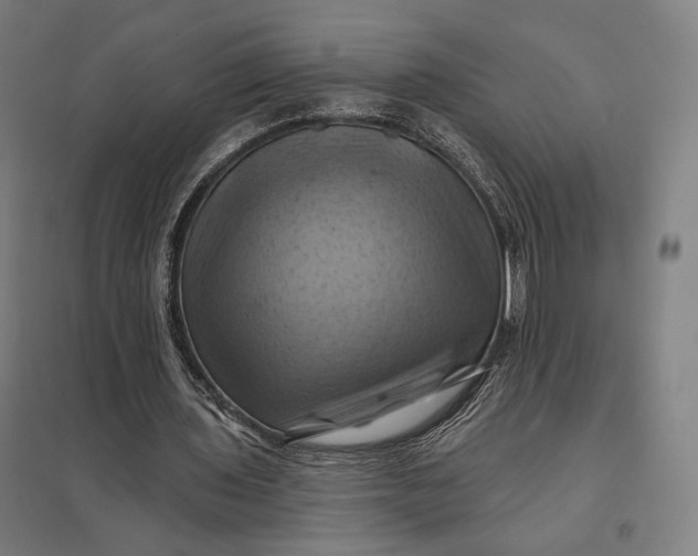 X0000097830435200803281204