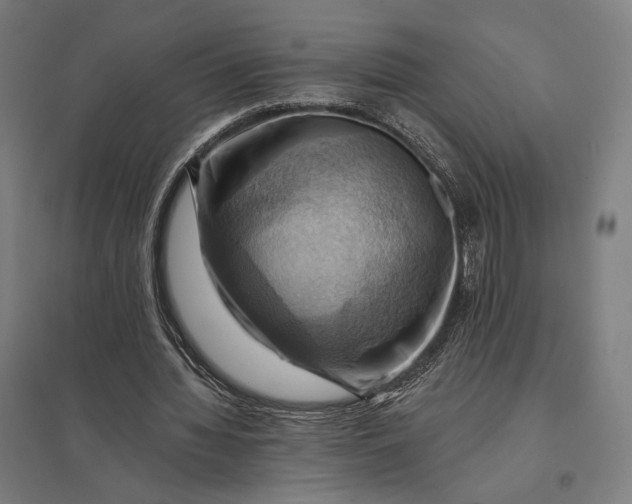 X0000097830436200803281204