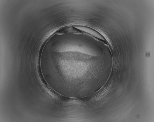 X0000097830437200803281204