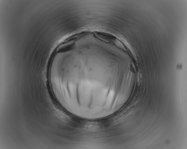 X0000097830438200803281204