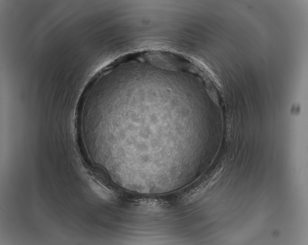 X0000097830439200803281204