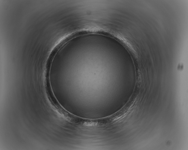 X0000097830440200803281204