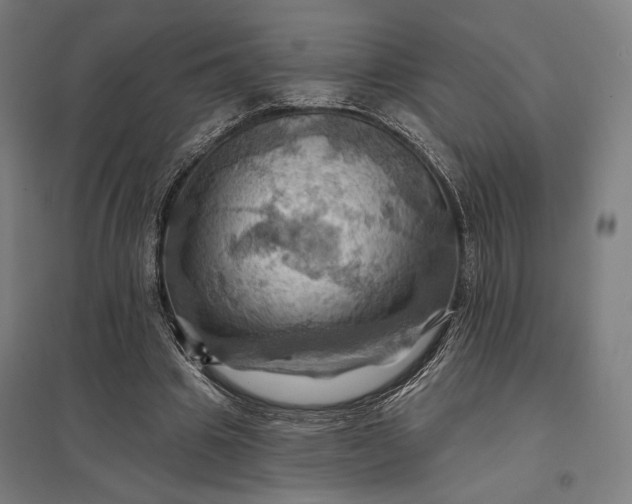 X0000097830441200803281204