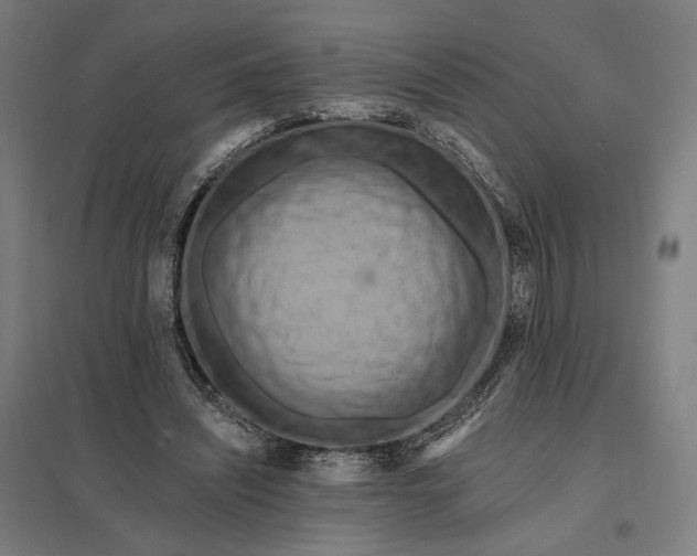 X0000097830444200803281204