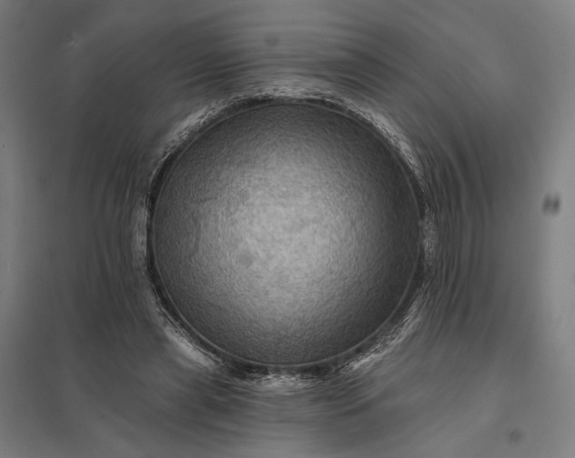 X0000097830445200803281204