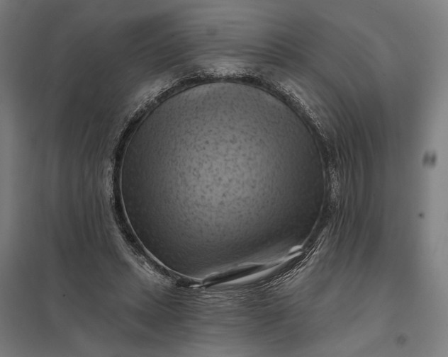 X0000097830447200803281204