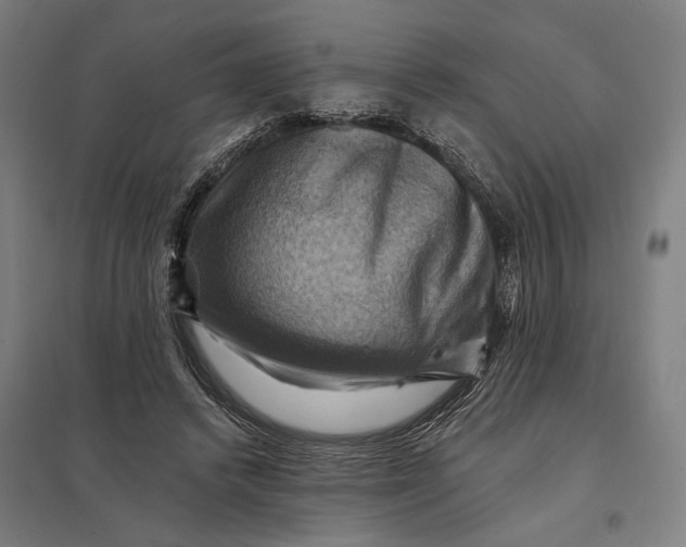 X0000097830448200803281204