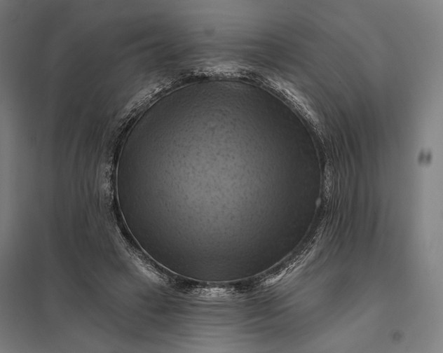 X0000097830449200803281204