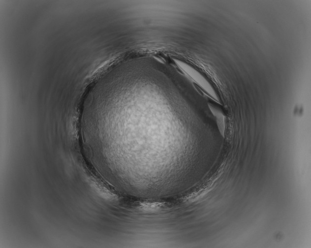 X0000097830450200803281204