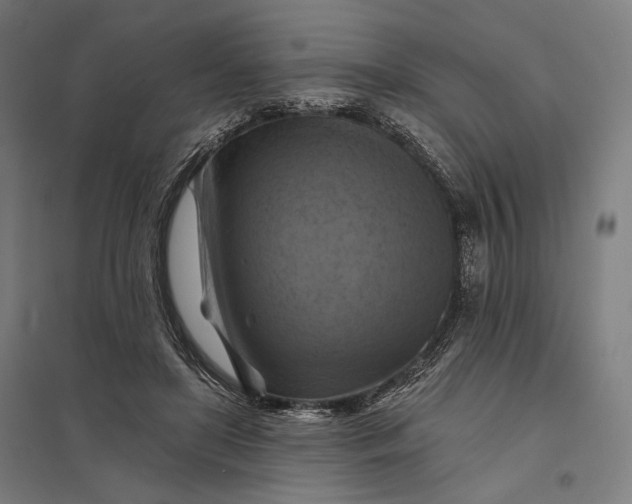 X0000097830451200803281204