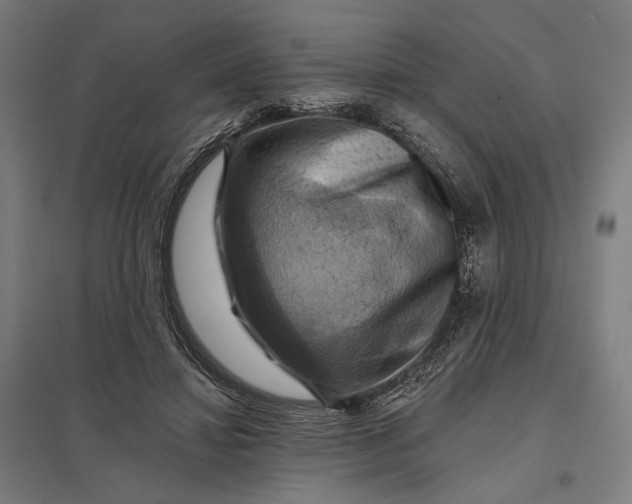 X0000097830452200803281204