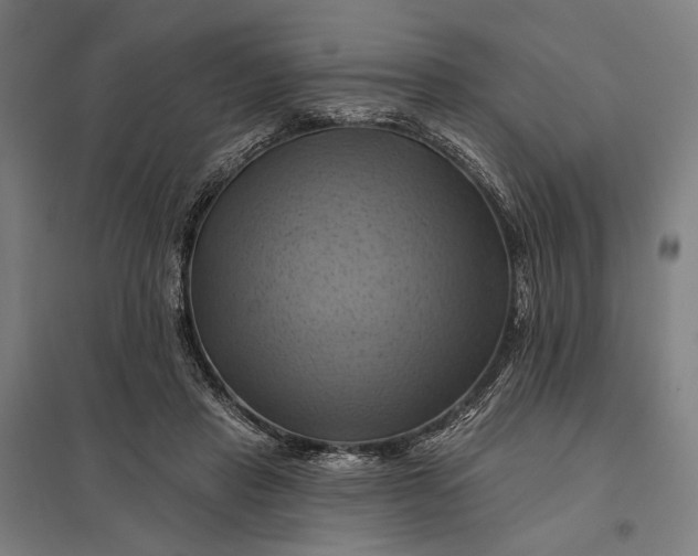 X0000097830453200803281204