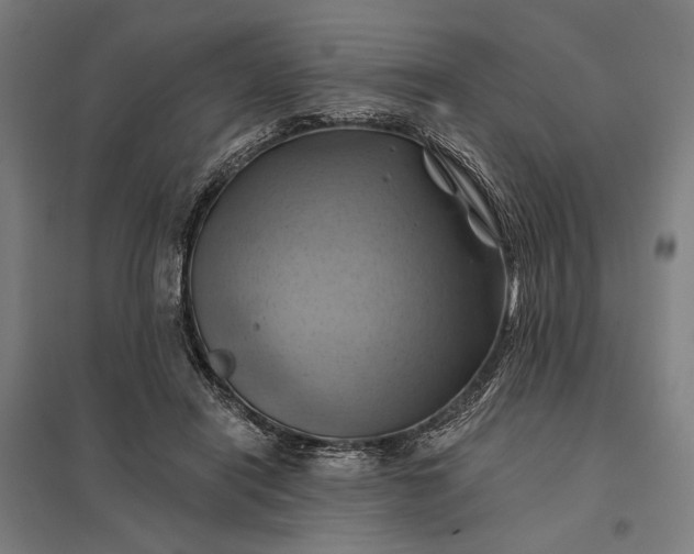 X0000097830454200803281204