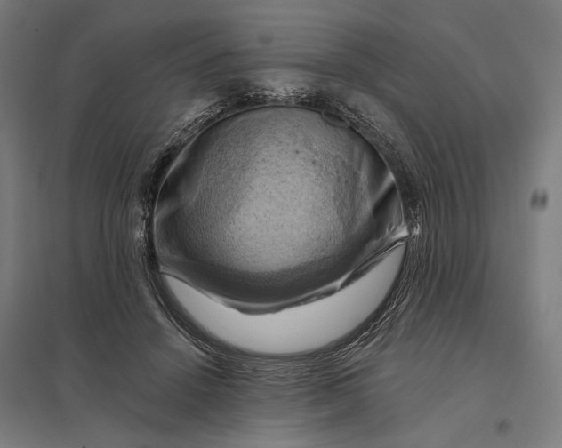 X0000097830456200803281204