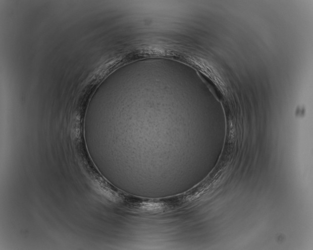 X0000097830457200803281204