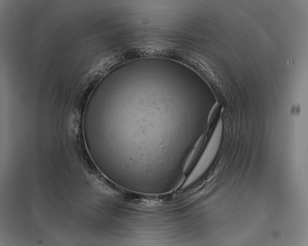 X0000097830458200803281204