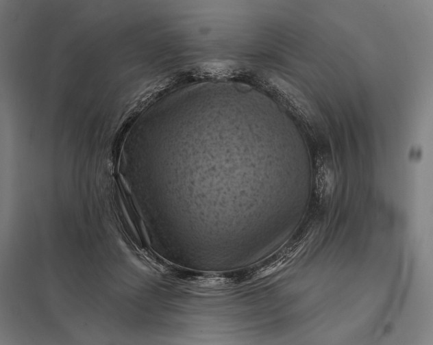 X0000097830459200803281204