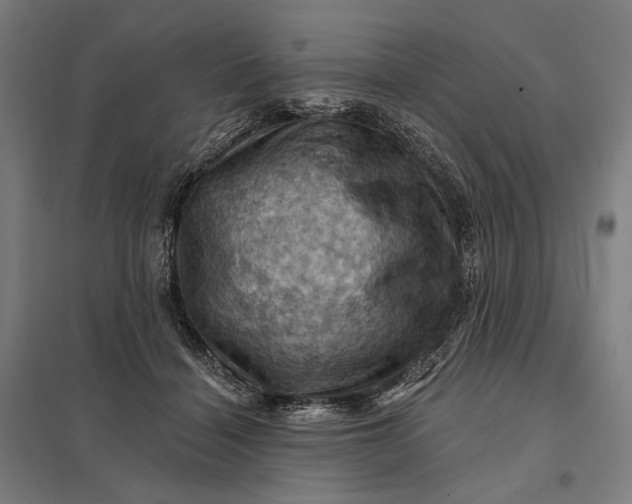 X0000097830460200803281204