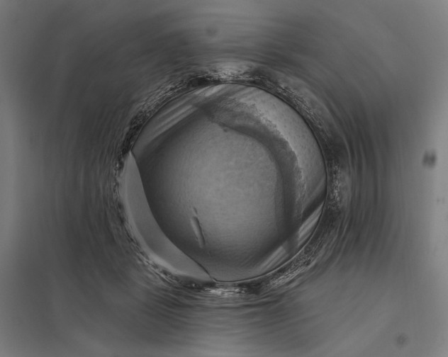 X0000097830461200803281204