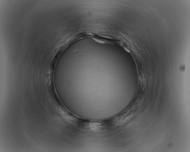 X0000097830462200803281204