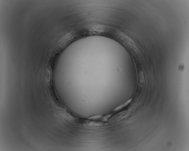 X0000097830463200803281204