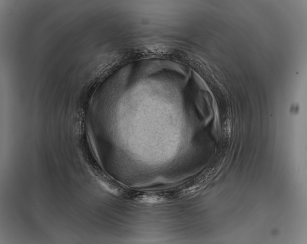 X0000097830464200803281204