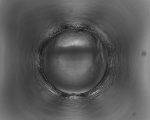 X0000097830465200803281204