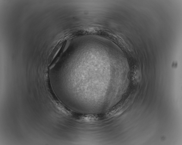 X0000097830466200803281204