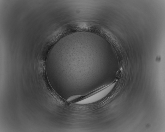 X0000097830467200803281204